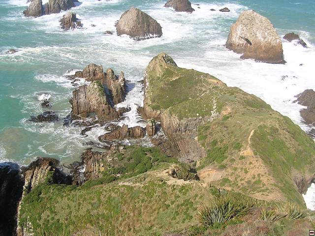 The Catlins Coast 022.jpg